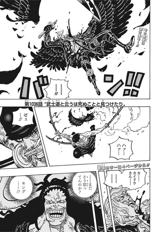 One Piece Chapter 1036 Mikaraw Com