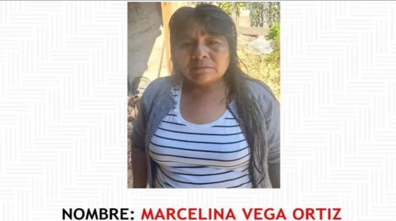 Oaxaca: Familia del presidente municipal de San Martín Peras desaparece