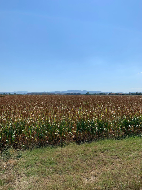 5AAA8C20-C825-4470-84C4-08D9ECBAB132