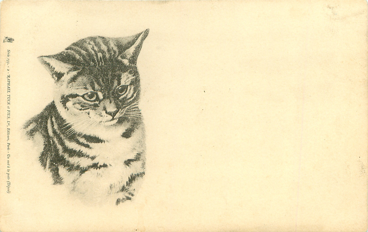 26-2011-05-30-16-39-17