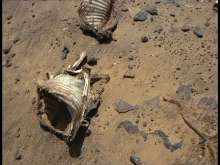 vlcsnap-2018-08-08-21h19m30s713