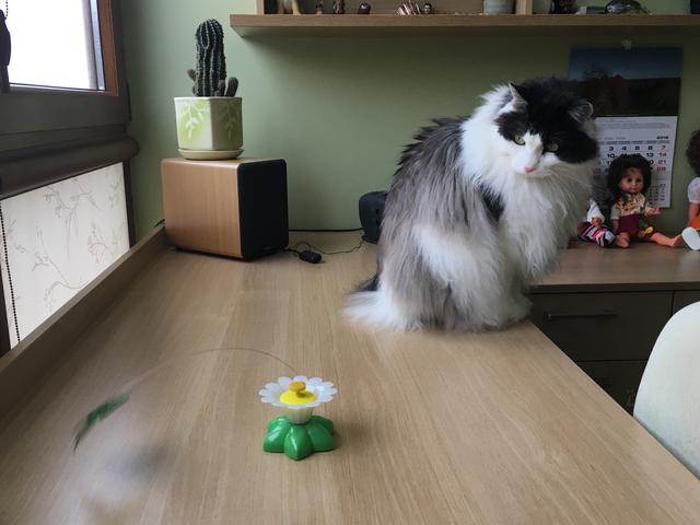 629-B8021-5815-4957-A316-807-F31577-E61.