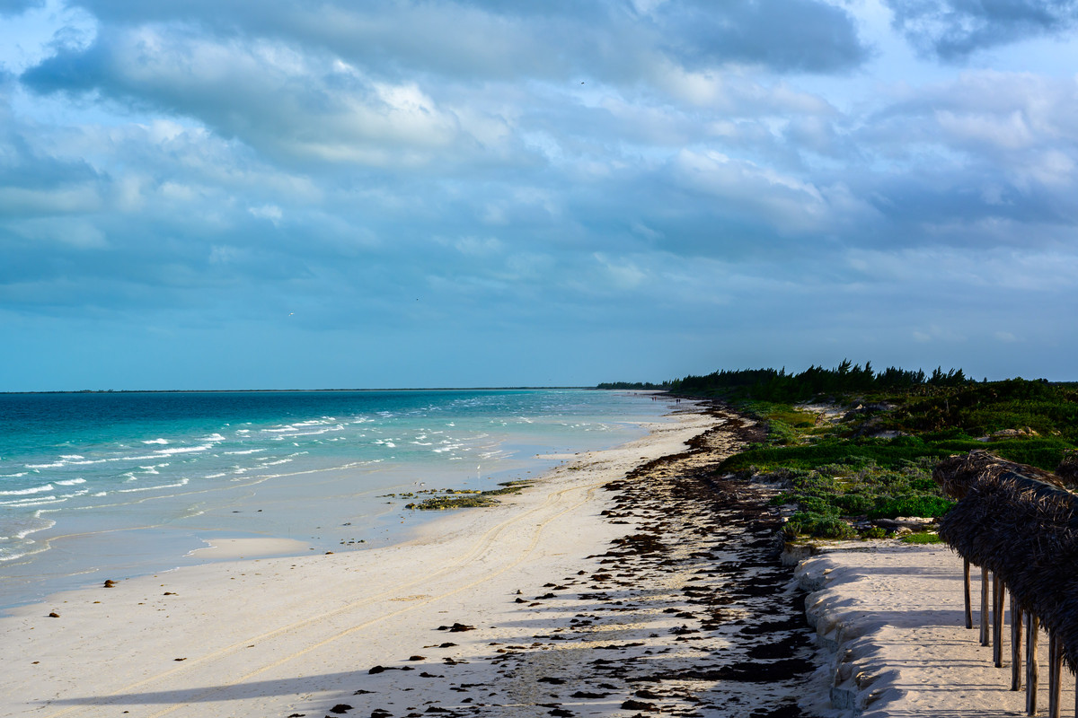 DSC1592.jpg