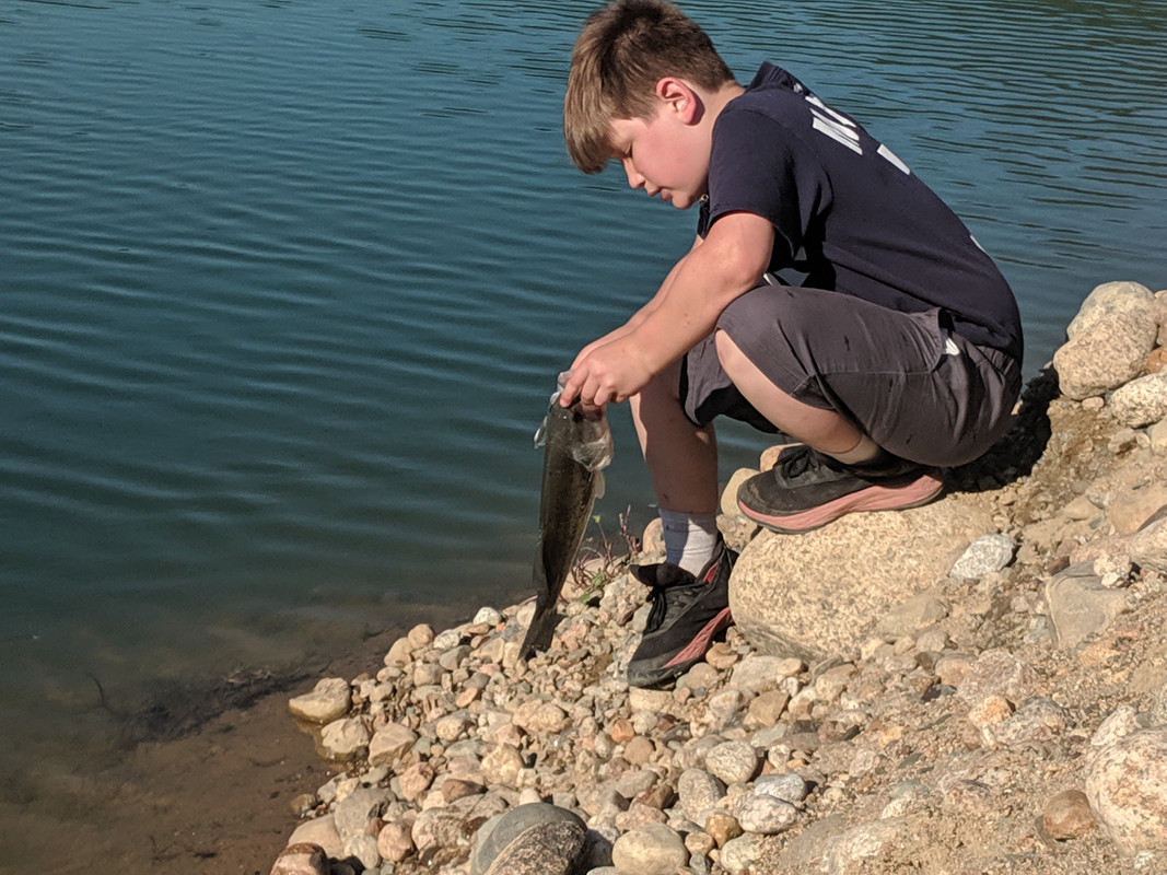 MVIMG_20190609_172054