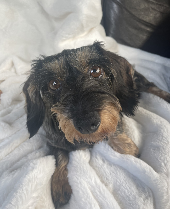 [Image: IMG-7754.jpg]