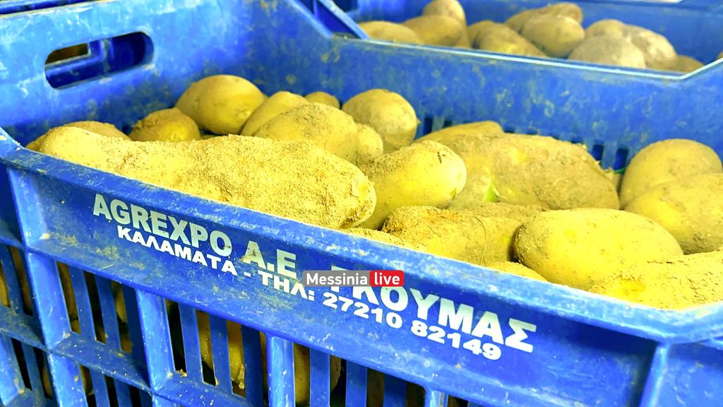 goumas-patates-IMG-5626