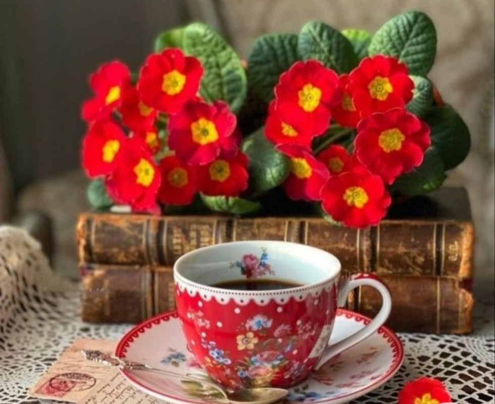 Screenshot_20230124_002451_Chrome