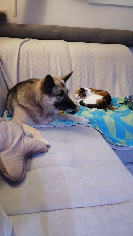 photo 2025 12 19 10 43 26