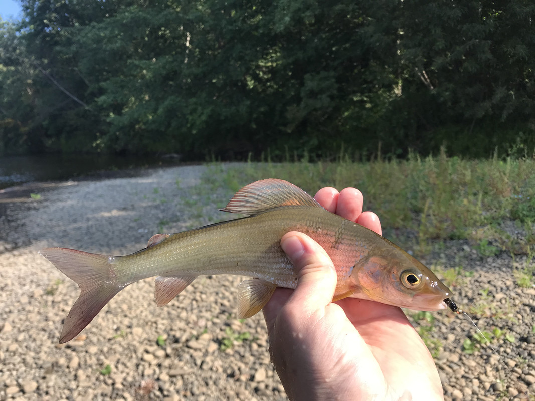 102FBFC2-C640-4008-BDD3-A639DE5AE974