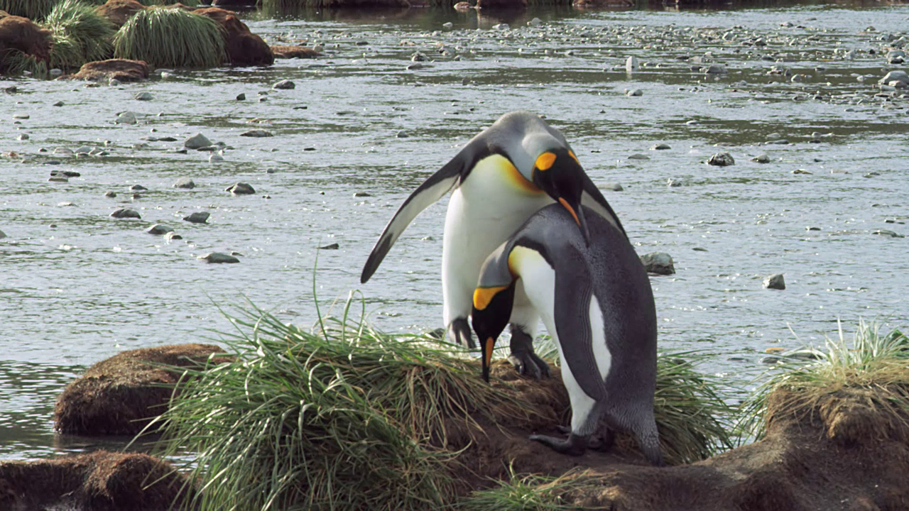 vlcsnap-2023-10-22-14h43m30s036