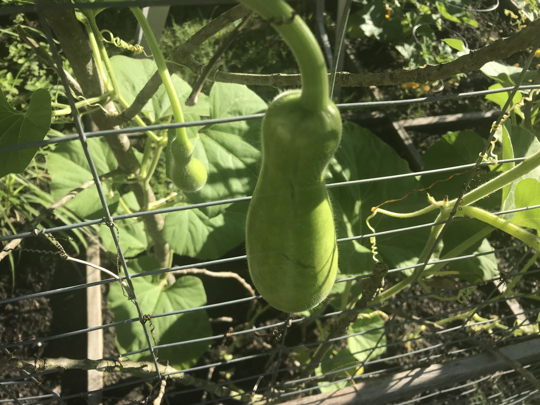 3BE217D7-8071-42A2-8A0A-A540829E2CD7