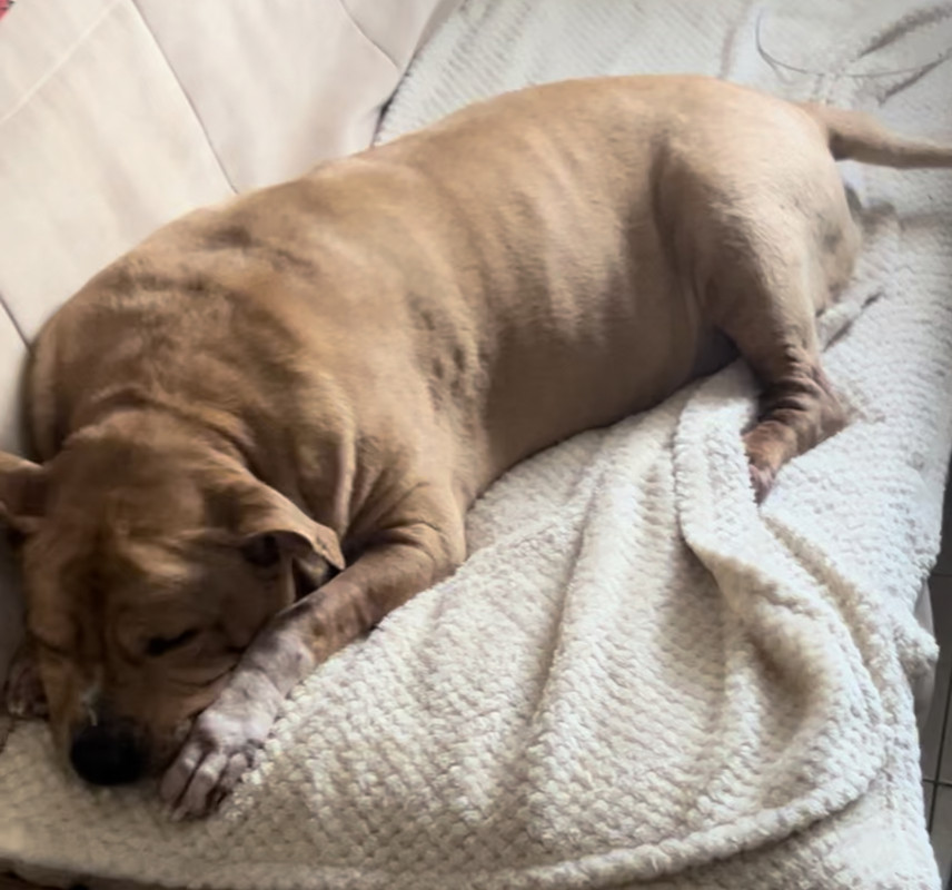 6830824A-1627-4A53-976C-0E47FED86E2C