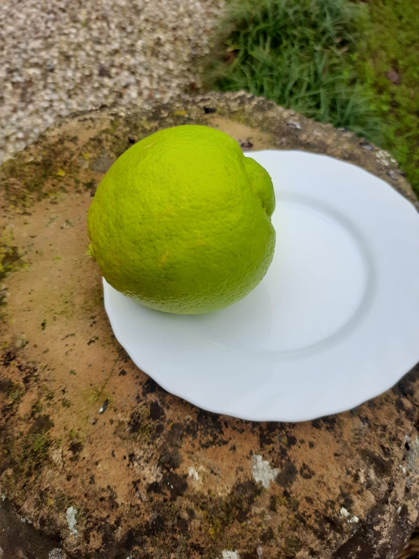 IMG 20250902 WA0009