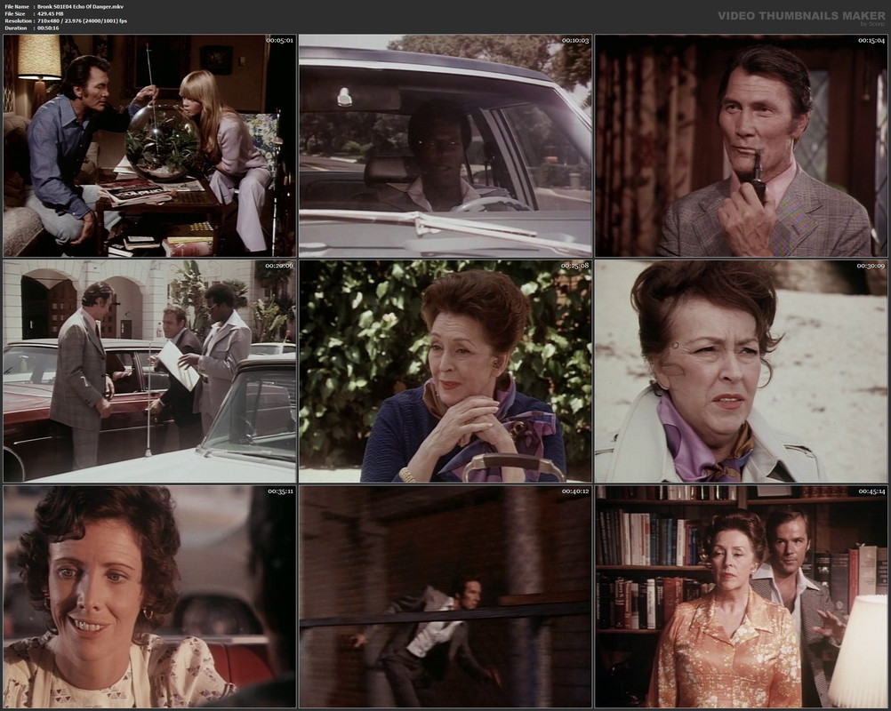 Bronk S01E04 Echo Of Danger.mkv