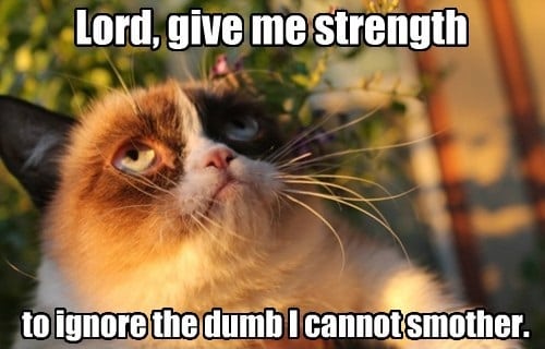 grumpy cat i want too
