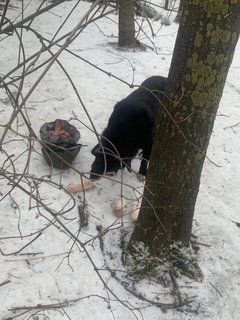 61FB1149-319C-4E50-AA1B-D80B204A623A