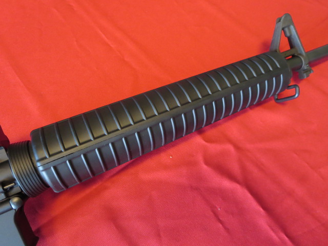 Waff-ank-Clearwater-064