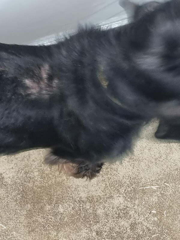 [Image: image000000-253.jpg]