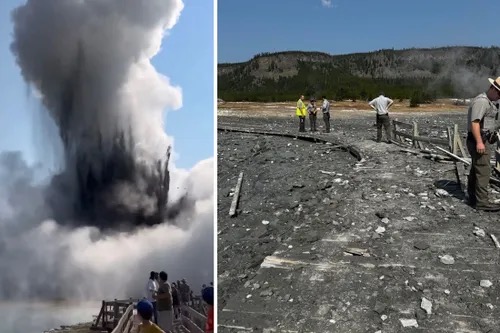 5-EB9-A9-FE-D5-EF-47-E8-92-DC-B4653999-DE6-F-4-5005-c