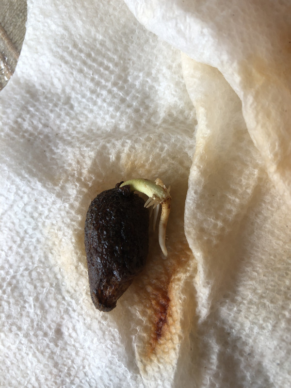 30831DD1-5512-4601-AB19-6343F4E645FD