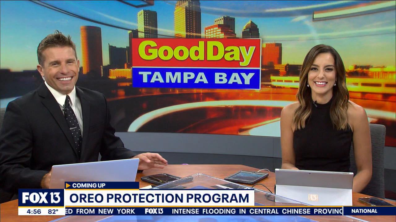 07.22 - 09.00.00 - FOX13's Good Day Tampa Bay at 4 00am  ᴺᵉʷ. News co..._001.ts_snapshot_16.09_[2021