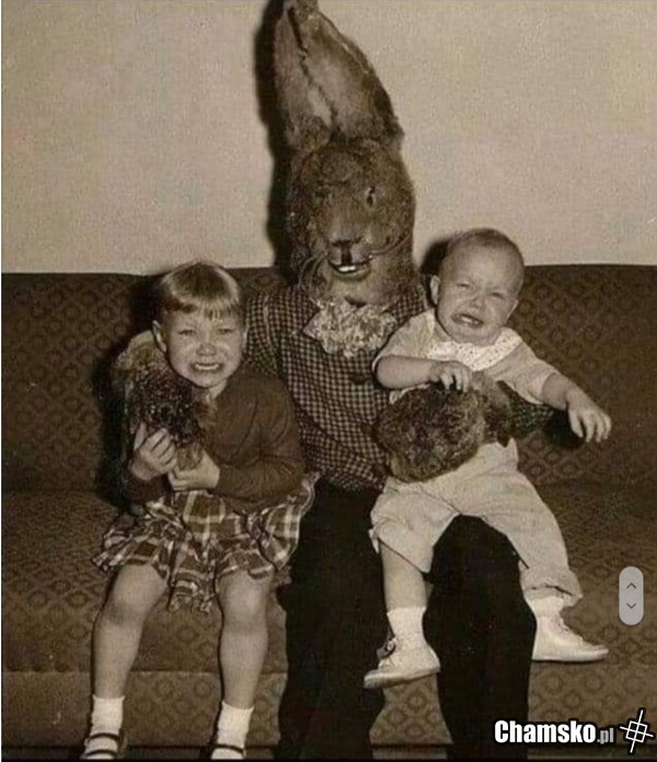 0-1-107483-Dziecinstwo-admina-chamskopl-