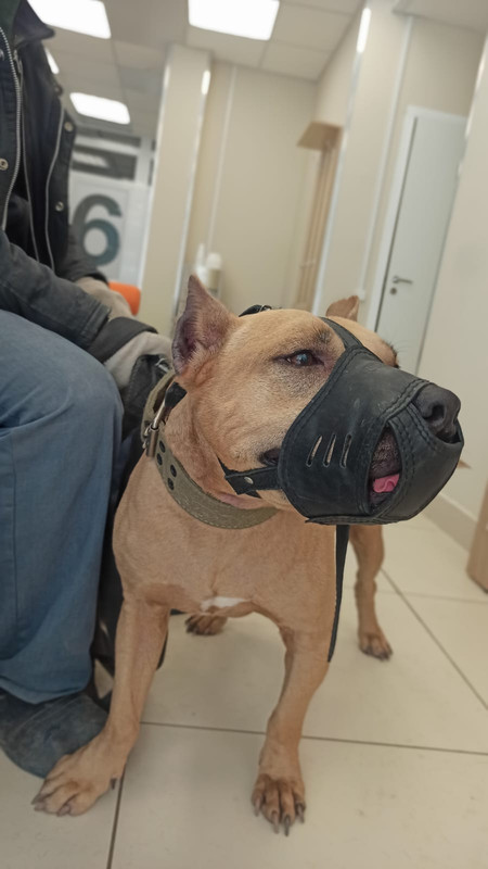 D53E65E8-E8F3-485B-AFED-DFDB7862E624