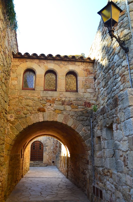 PALS-21-11-2017 - Gerona y sus pueblos-2016/2017 (41)