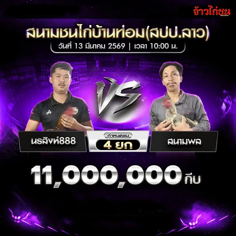 โปรแกรมไก่ชน นรสิงห์888 พบ สนามพล สนามชนไก่บ้านท่อม สปป.ลาว