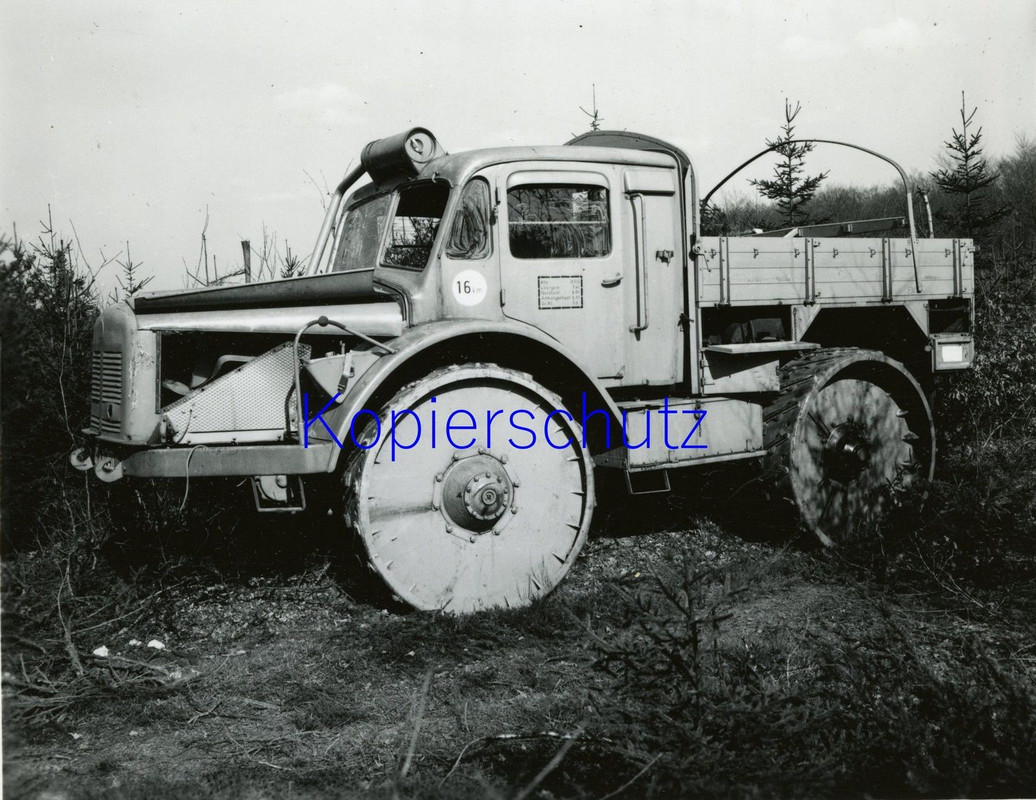 Radschlepper Type 175 L Rarität an Fotos (Bildau