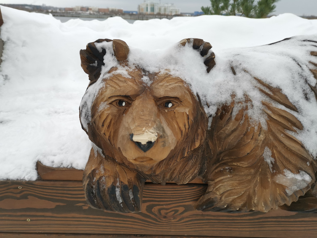 IMG_20230116_сломали нос медведю