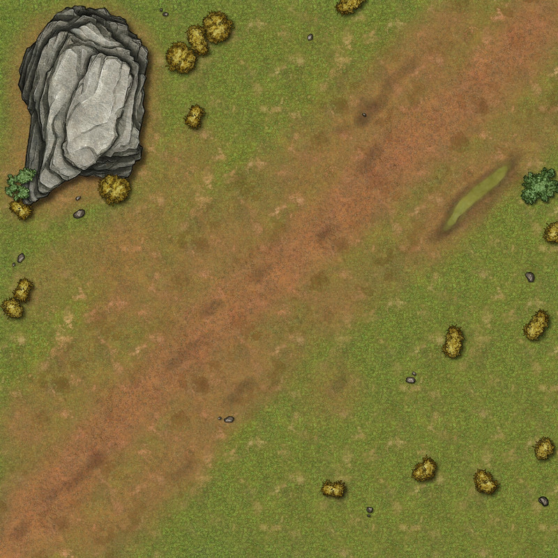 Hommes caméléons 30x30