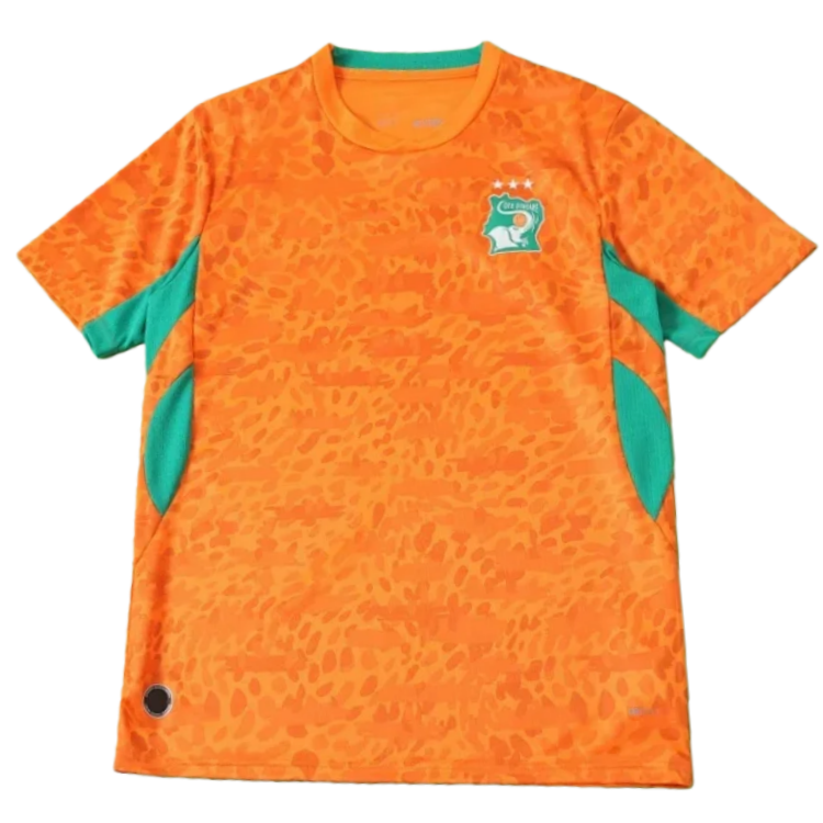 2627 Ivory Coast home Fan version