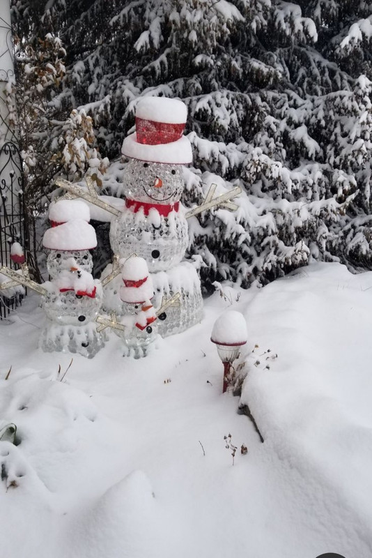 Screenshot_20231101_222341_Pinterest