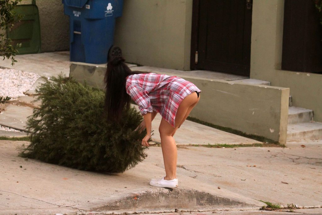 Natasha-Blasick-Upskirt-Stars-com-3