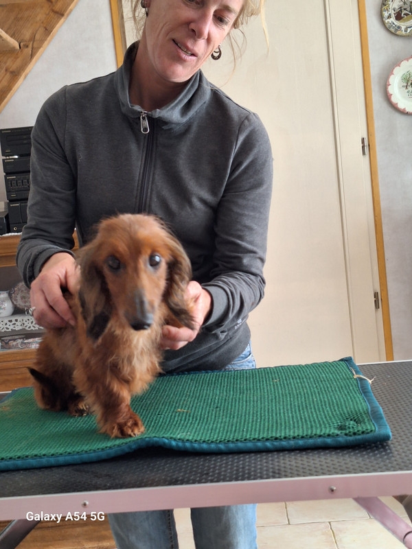 [Image: 20240702-155932.jpg]