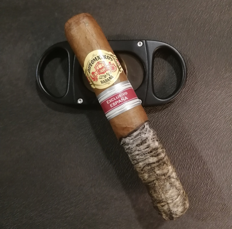 IMG_20220629_181238[1]