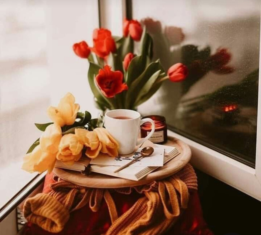 Screenshot_20230310_010140_Pinterest