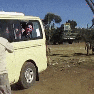 daily-gifdump-3428-15.gif