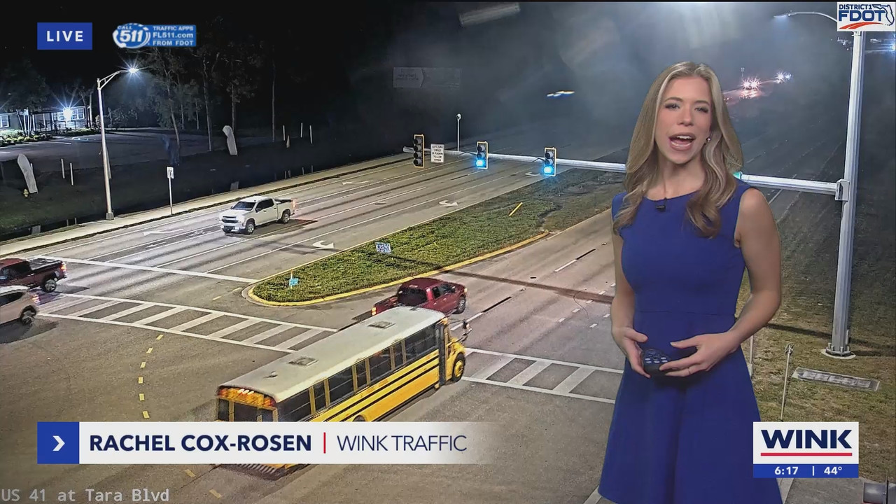 WINK News at 600am_20250109_11001130.ts_snapshot_17.57.704