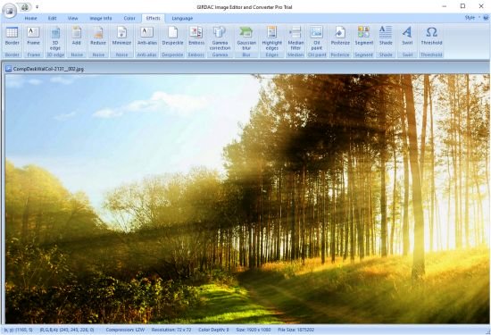 GIRDAC Image Editor and Converter Pro 8.2.2.5 Multilingual