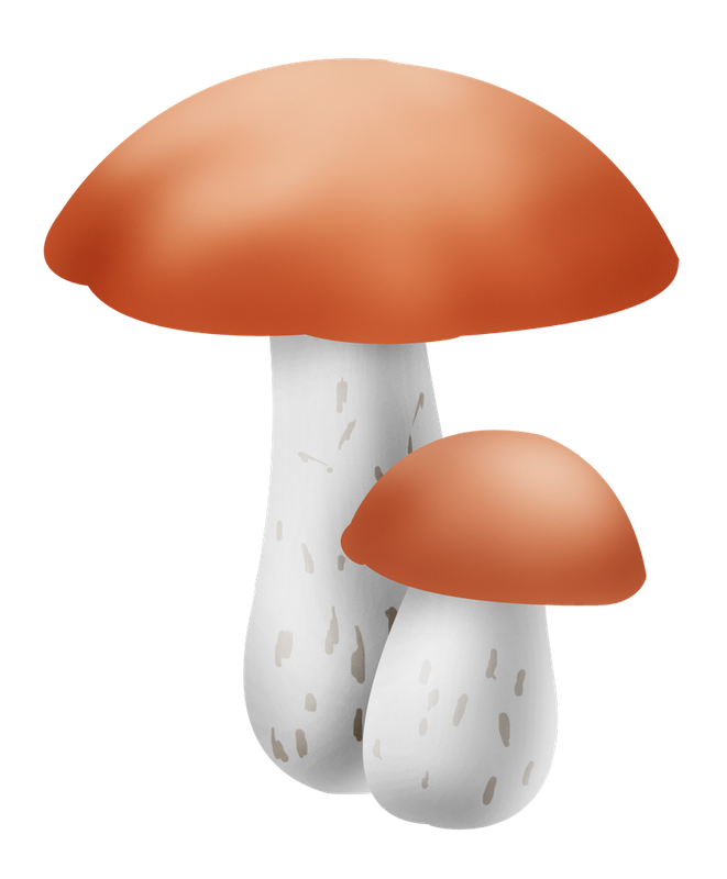18el