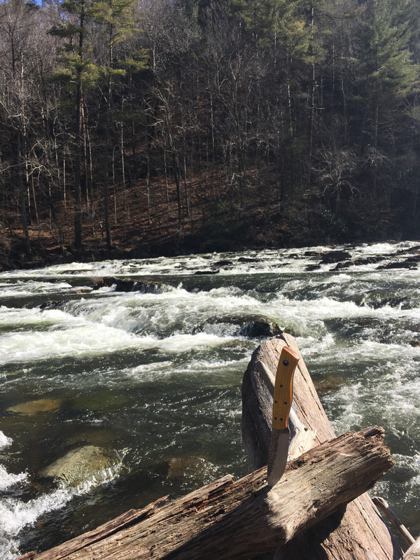 1BE6BA28-4712-452F-879F-1330E1066371