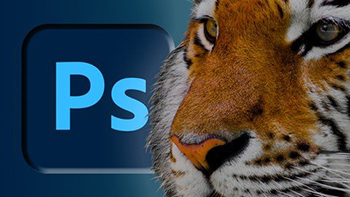 Udemy - Photoshop: manuale di sopravvivenza per creatori web e app - Ita