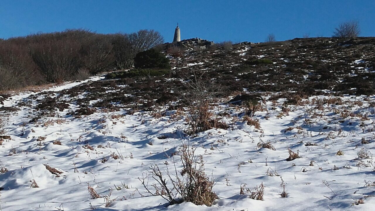 F933C46B-5A5E-4AAE-A063-4C939BD92CDE