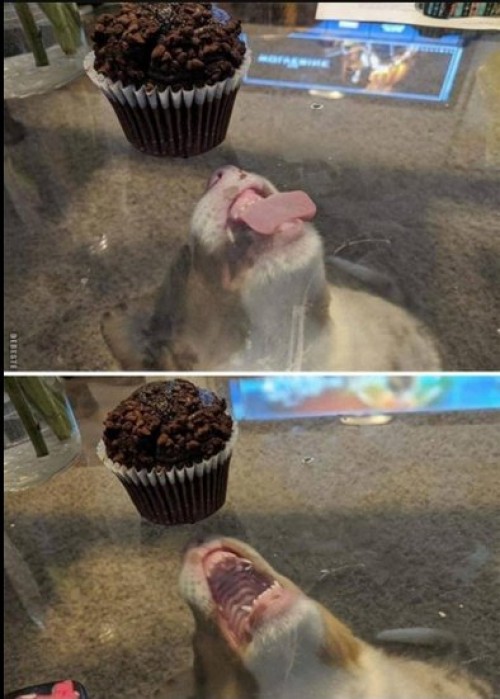 thumbs-picdump747-088.jpg