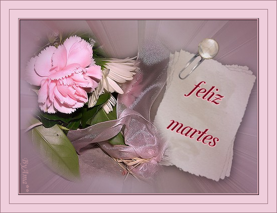 Cuadro con Rosa Martes