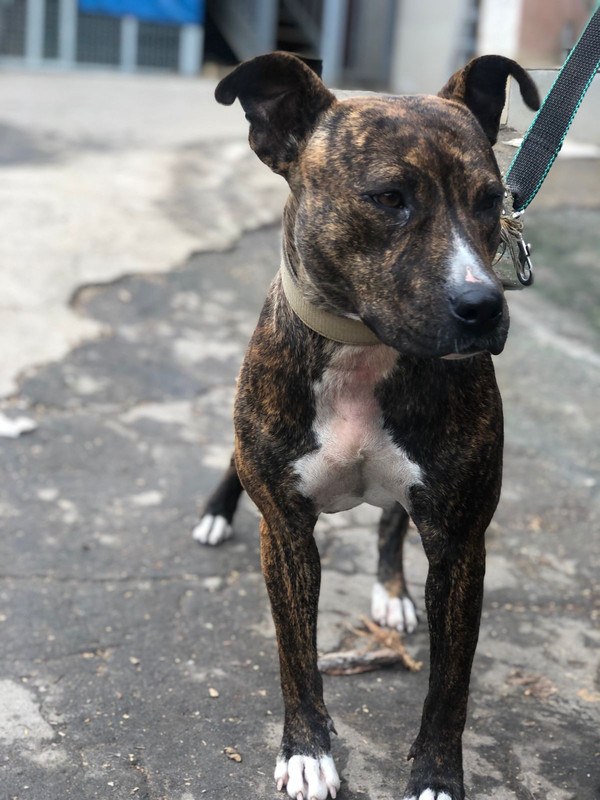 WhatsApp Image 2022-09-12 at 13.47.26 (1)