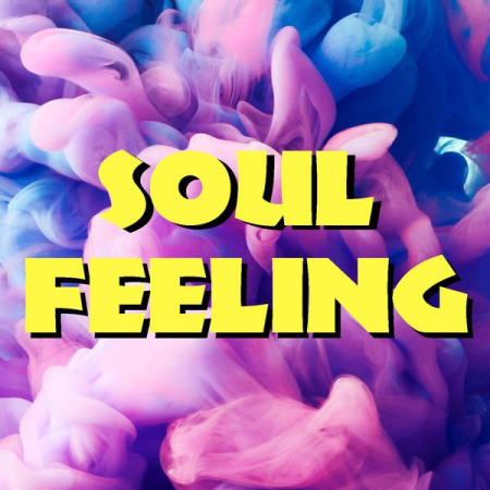 Various Artists - Soul Feeling (2020)