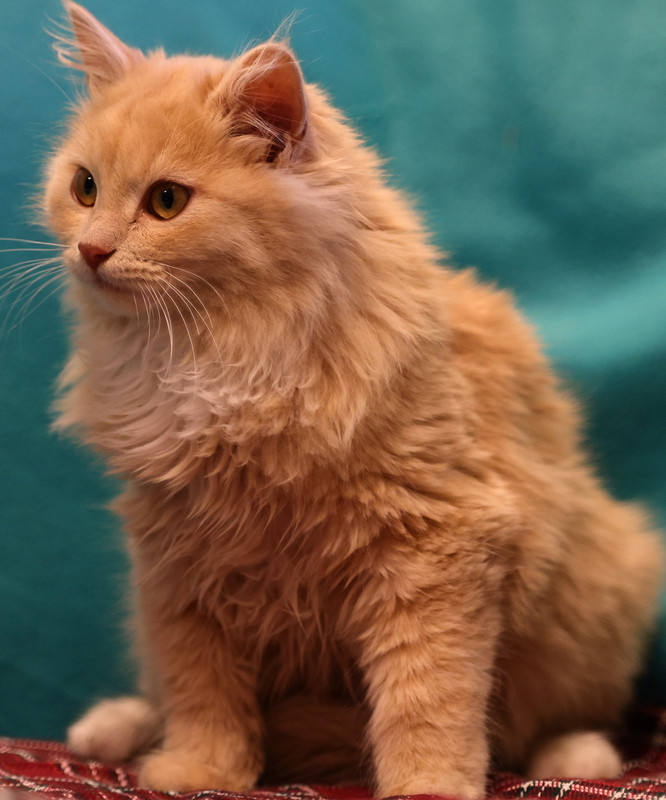 704A6B90-2AE2-4B78-89A6-D8FC41E68123